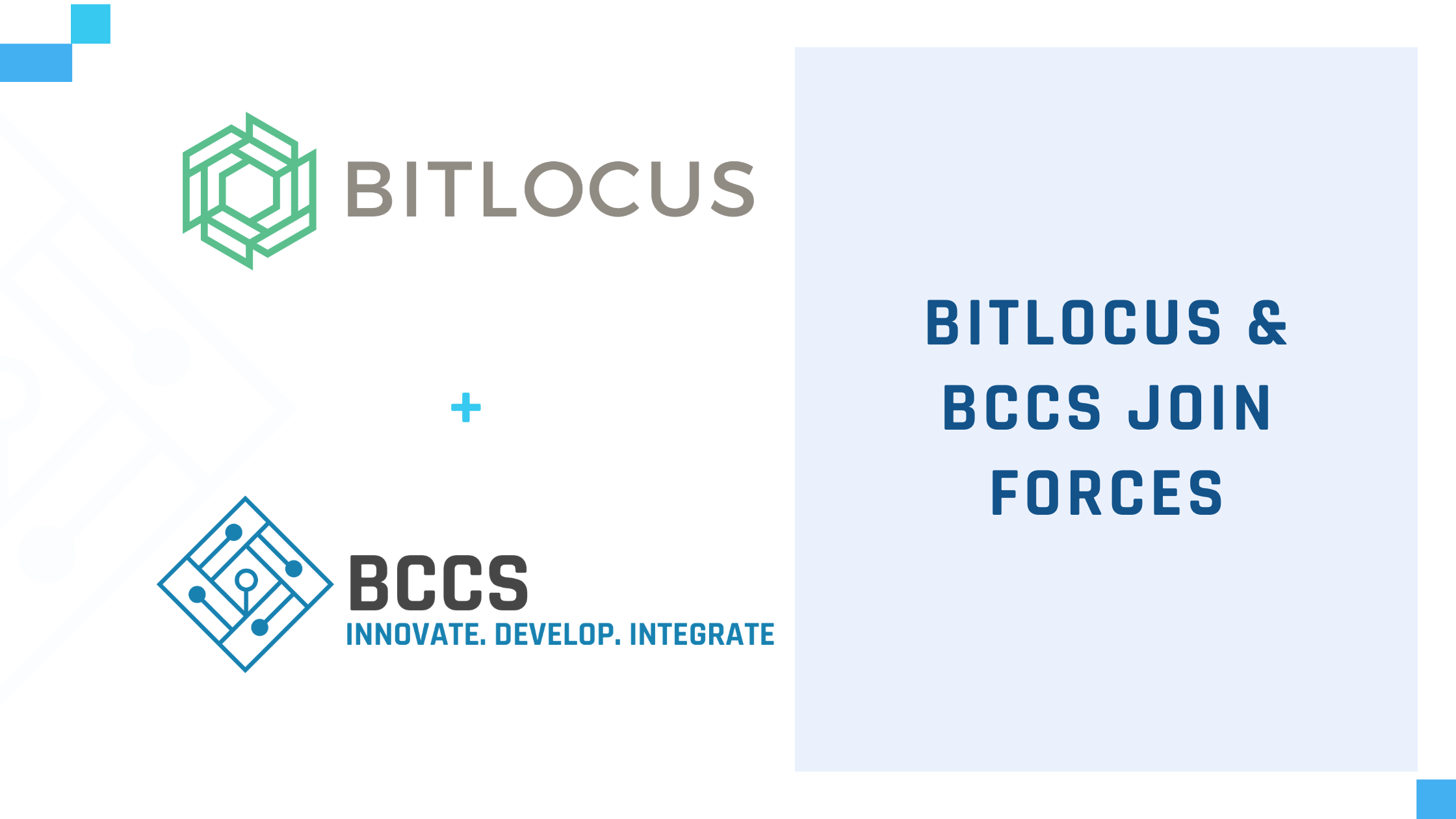 BCCS joins forces with Bitlocus